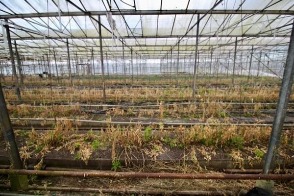 Medium property photo - Achterdiep Noordzijde, 9611 BT Sappemeer